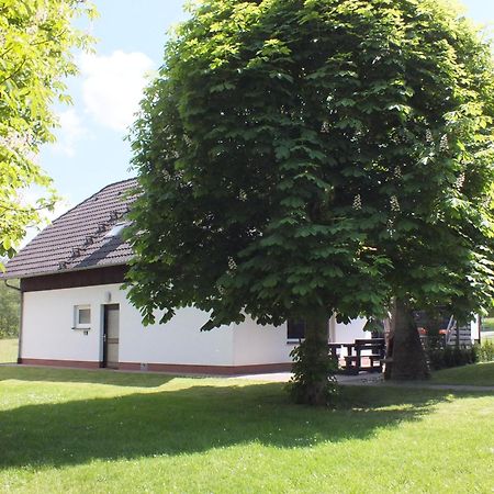 Ferienhaus Moni Mit 2 Separaten Wohnungen Am Silbersee Frielendorf المظهر الخارجي الصورة