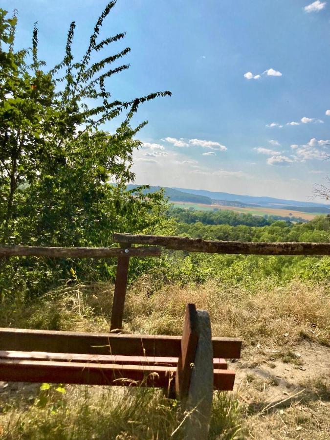 Ferienhaus Moni Mit 2 Separaten Wohnungen Am Silbersee Frielendorf المظهر الخارجي الصورة